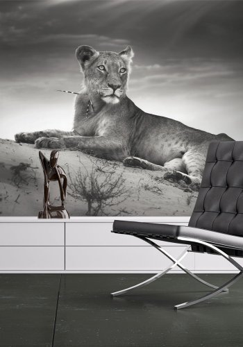 ARTGEIST Fototapet - Sort og hvid hunlve (flere strrelser)