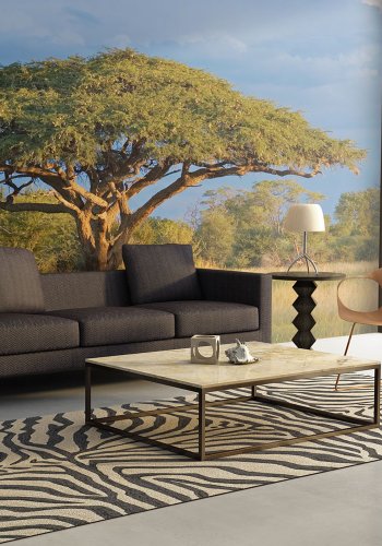 ARTGIST Fototapet - Afrikansk akacietr, Hwange, Zimbabwe (flere strrelser)