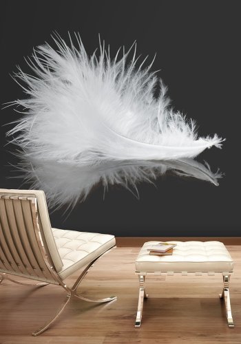 ARTGEIST Fototapet - White feather, hvid fjer (flere strrelser)