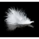 ARTGEIST Fototapet - White feather, hvid fjer (flere strrelser)