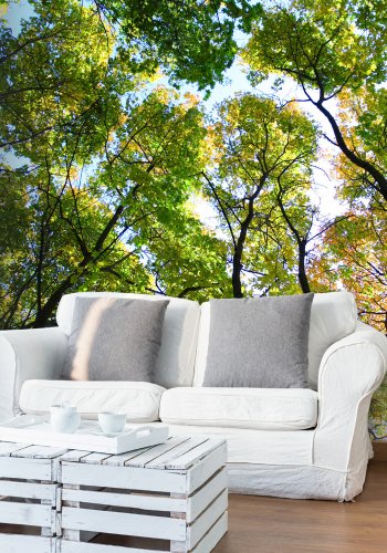 ARTGEIST Fototapet - Looking up at the trees, trtoppe (flere strrelser)