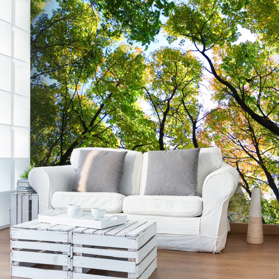 ARTGEIST Fototapet - Looking up at the trees, trtoppe (flere strrelser)