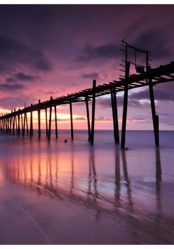 ARTGEIST Fototapet - Trmole (flere strrelser)