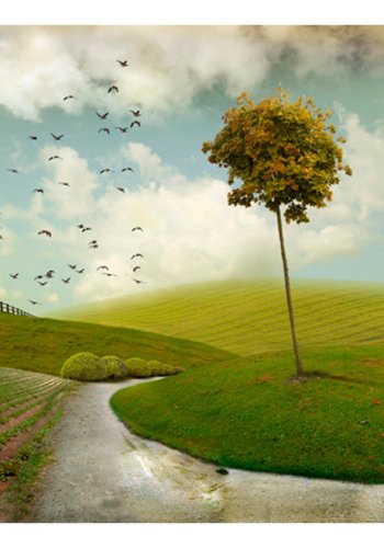 ARTGEIST Fototapet - autumn, forrslandskab (flere strrelser)