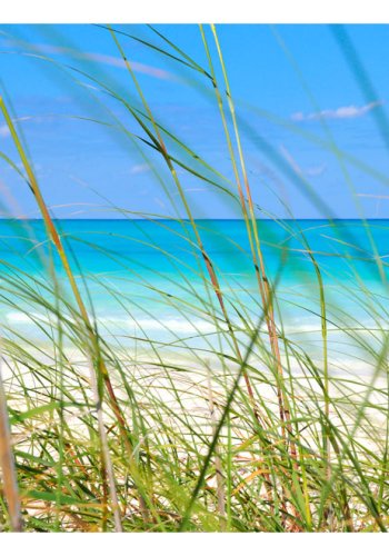 ARTGEIST Fototapet - Tropical journey, sommerlig stand (flere strrelser)