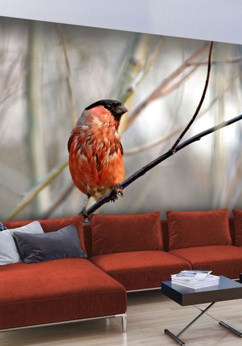 ARTGEIST Fototapet - Bullfinch in the forest, Dompap i skoven (flere strrelser)