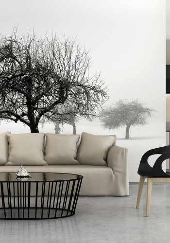 Fototapet - Winter: Trees