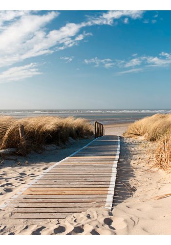 ARTGEIST Fototapet - North Sea beach, Udsigt over strand (flere strrelser)