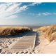 ARTGEIST Fototapet - North Sea beach, Udsigt over strand (flere strrelser)