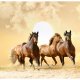 ARTGEIST Fototapet - Running Horses, Heste i galop (flere strrelser)