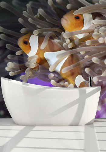 ARTGEIST Fototapet - Klovnfisk (flere strrelser)