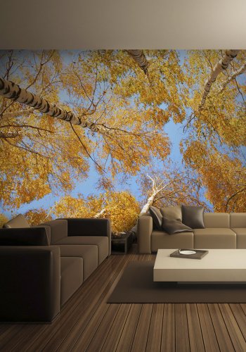 ARTGEIST Fototapet - Forrets trtoppe (flere strrelser)