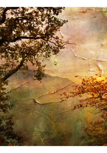 ARTGEIST Fototapet - Painted autumn, Forret tegnet (flere strrelser)