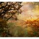 ARTGEIST Fototapet - Painted autumn, Forret tegnet (flere strrelser)