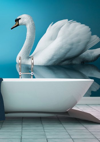 ARTGEIST Fototapet - swan reflection, Smuk svane (flere strrelser)