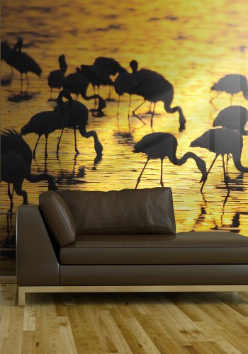 ARTGEIT Fototapet - Kenya: flamingoer ved sen Nakuru (flere strrelser)