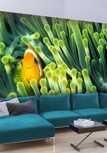 ARTGEIST Fototapet - Anemonefish, Sanemoner (flere strrelser)