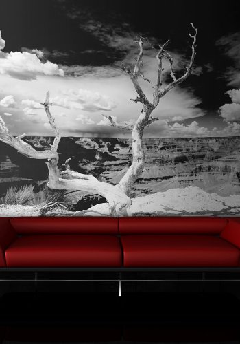 ARTGEIST Fototapet - Grand Canyon tr (flere strrelser)