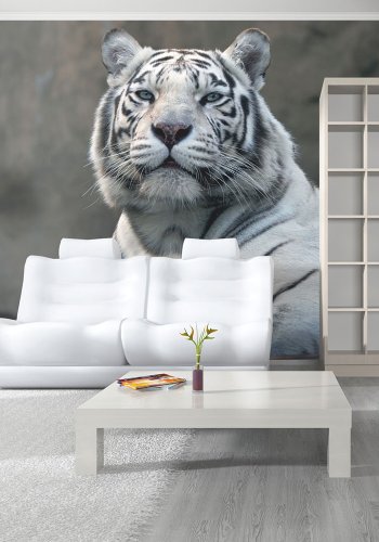 ARTGEIST Fototapet - Bengali tiger i zoo (flere strrelser)