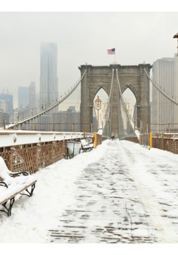 ARTGEIST Fototapet - Snedkkede bro i New York (flere strrelse)