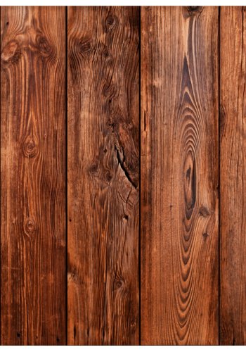 ARTGEIST Fototapet - Tr vg (flere strrelser)