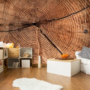 ARTGEIST Fototapet af Trstamme med tvrsnit (flere strrelser)