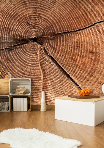 ARTGEIST Fototapet af Trstamme med tvrsnit (flere strrelser)