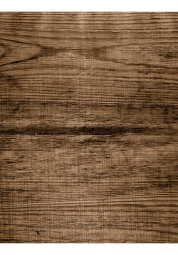 ARTGEIST Fototapet - Motiv af massivt tr (flere strrelser)