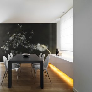 ARTGEIST Fototapet - Mlkebtte p sort baggrund (flere strrelser)