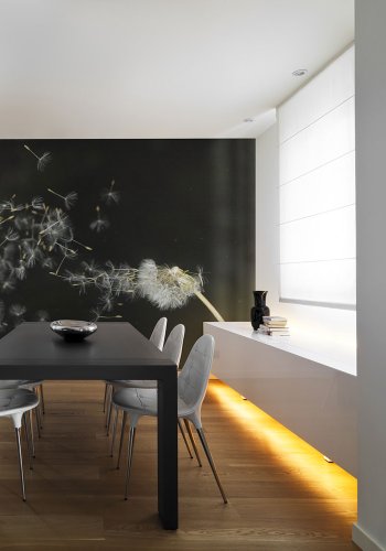 ARTGEIST Fototapet - Mlkebtte p sort baggrund (flere strrelser)