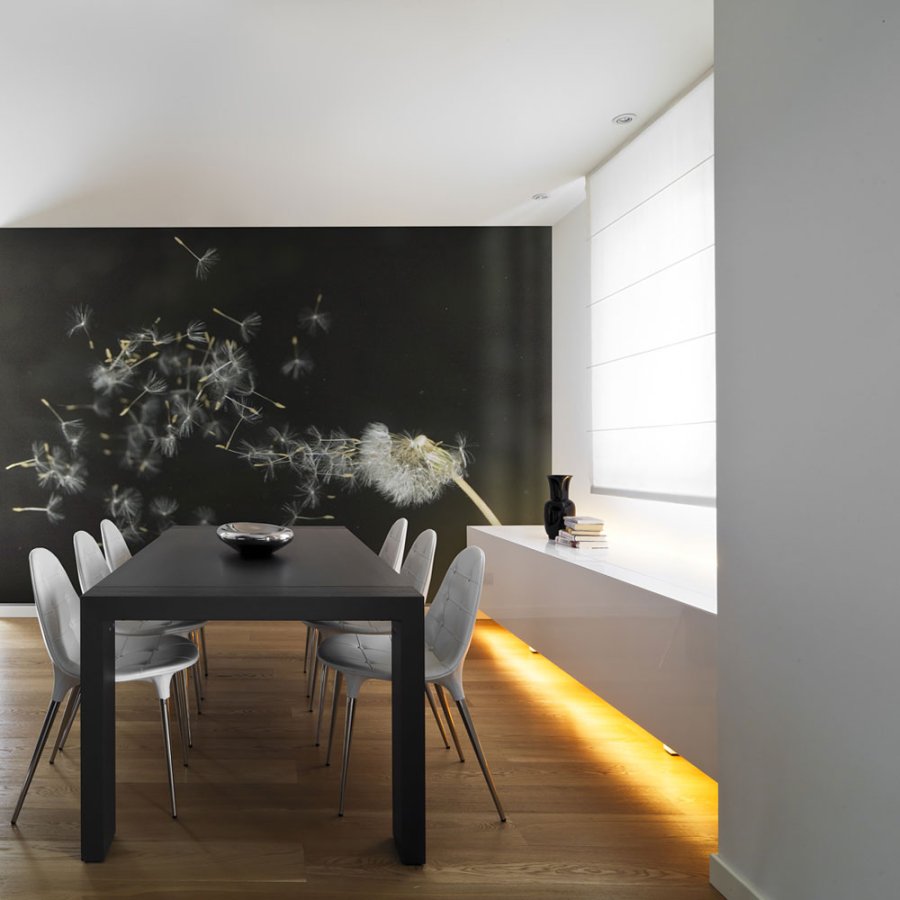 ARTGEIST Fototapet - Mlkebtte p sort baggrund (flere strrelser)