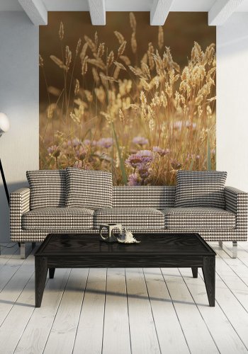 ARTGEIST Fototapet - Kornmark (flere strrelser)