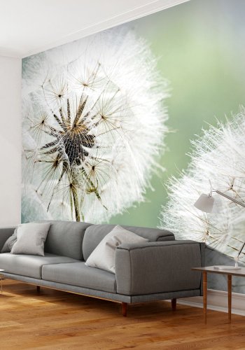 ARTGEIST Fototapet - To mlkebtter (flere strrelser) 