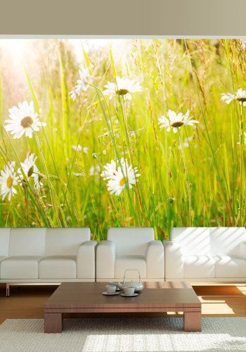 ARTGEIST Fototapet - Tusindfryd i marken (flere strrelser)