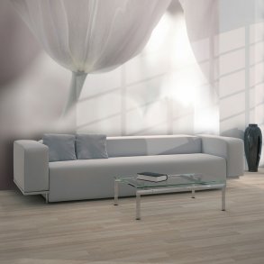 ARTGEIST Fototapet af tulipaner - Art (flere strrelser)