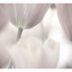 ARTGEIST Fototapet af tulipaner - Art (flere strrelser)