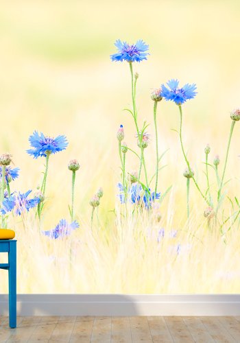 ARTGEIST Fototapet - Kornblomster (flere strrelser)