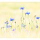 ARTGEIST Fototapet - Kornblomster (flere strrelser)