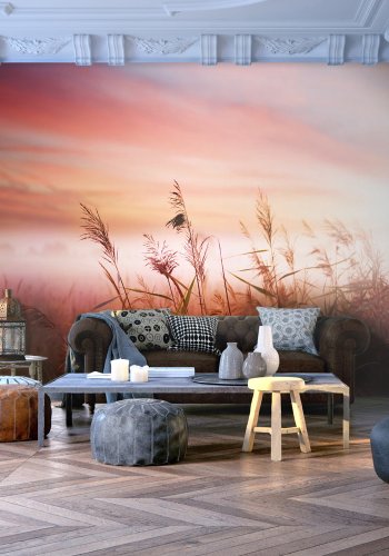 ARTGEIST Fototapet - Eng om morgenen (flere strrelser)