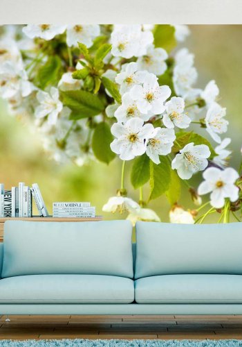 ARTGEIST Fototapet - Kirsebrblomster (flere strrelser)