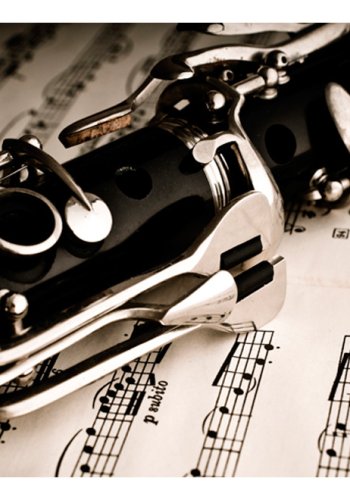 ARTGEIST Fototapet - Klarinet og noder (flere strrelser)