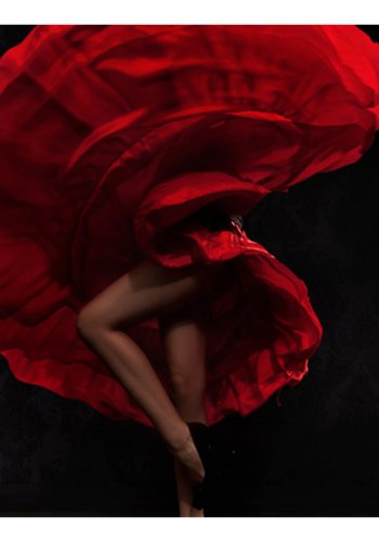 ARTGEIST Fototapet - Flamenco danser (flere strrelser)