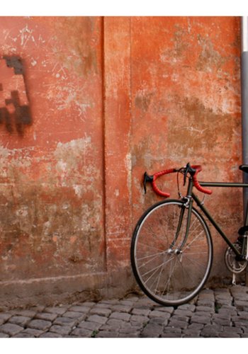 ARTGEIST Fototapet - Cykel op ad vg (flere strrelser)