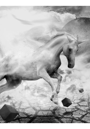 ARTGEIST Fototapet - Enhjrning i sort/hvid (flere farver)