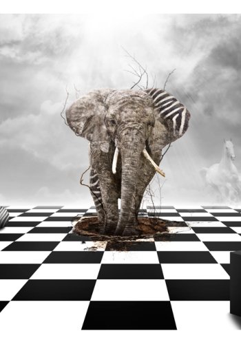 ARTGEIST Fototapet af elefant - Getaway fra Afrika (flere strrelser)