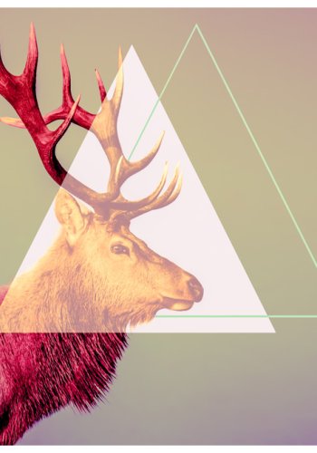 ARTGEIST Fototapet af hjort - Graphic pattern (flere strrelser)