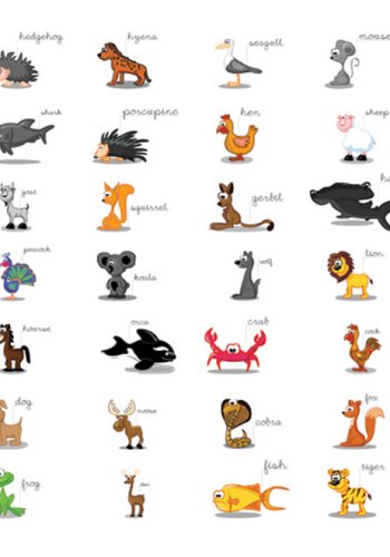 ARTGEIST - Fototapet med dyr og dyrenavne for brn til lring - Flere strrelser