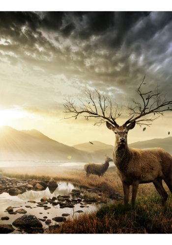 ARTGEIST - Fototapet med hjorte i smukt landskab og bjerge i baggrunden - Flere strrelser