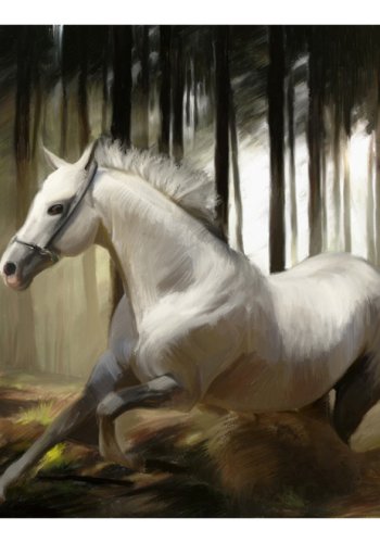 ARTGEIST - Fototapet med hvid hest der lber igennem skoven - Flere strrelser