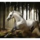 ARTGEIST - Fototapet med hvid hest der lber igennem skoven - Flere strrelser